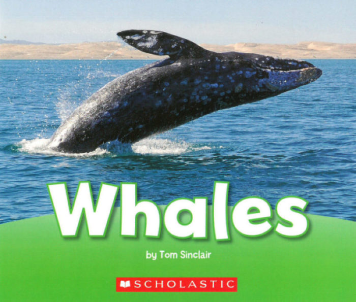 Whales (GR Level L)