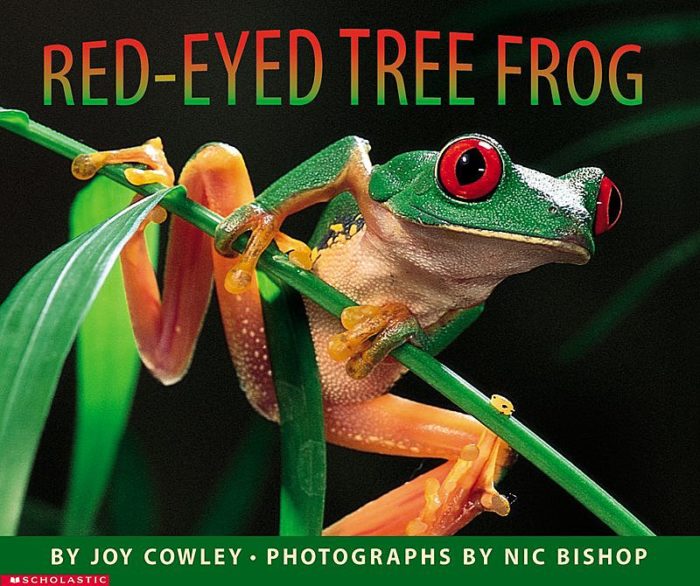 Red-Eyed Tree Frog(GR Level I)