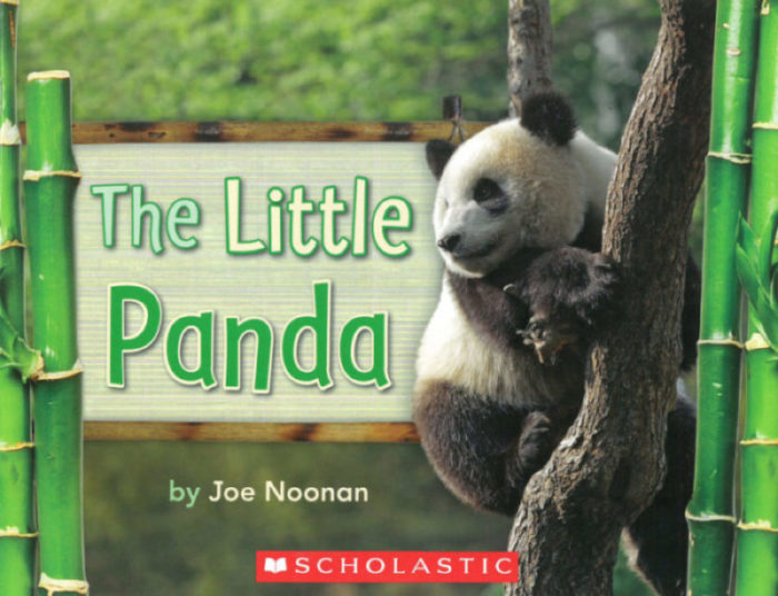 The Little Panda(GR Level A)