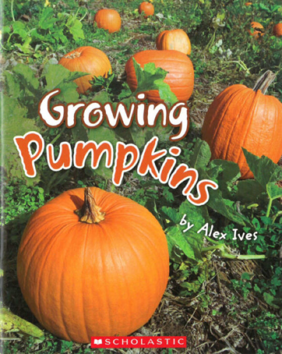 Growing Pumpkins(GR Level F)