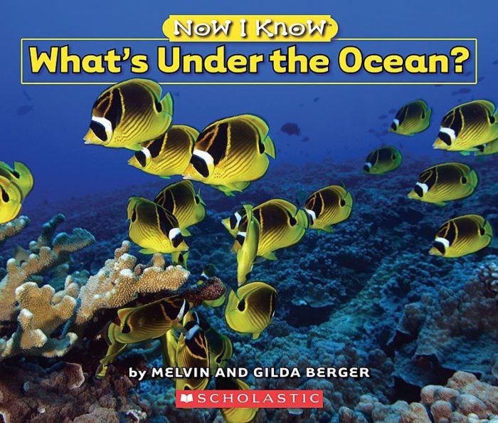 Now I Know: What's Under the Ocean? (GR Level H)