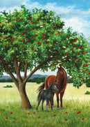 EF Classic Readers Level 8, Book 4: Black Beauty