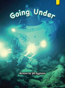 Key Links Yellow Book 8, Level 6: Going Under