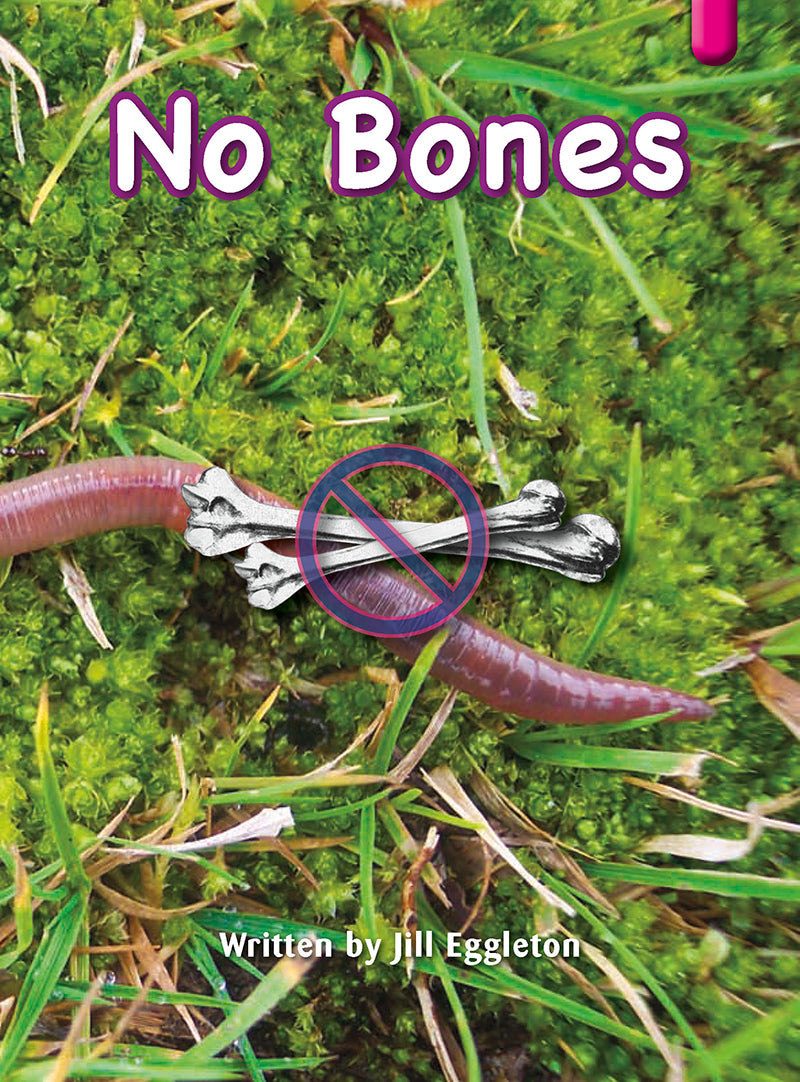 Key Links Magenta (Book 8, Level 1): No Bones
