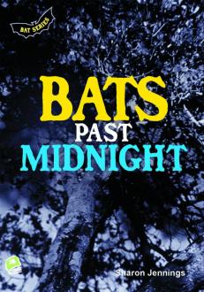 Bats Past Midnight