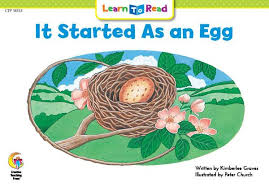 CTP: It Started As an Egg