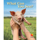 FS Level 01: What Can You See?