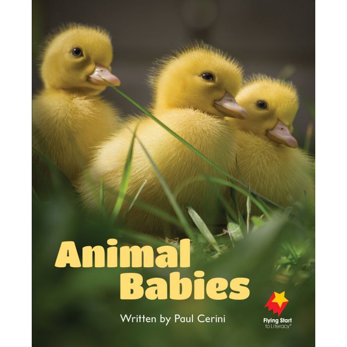 FS Level 01: Animal Babies