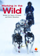 FS Level 26: Working in the Wild