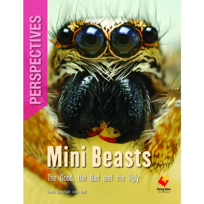 FS Level 27 Perspectives: Mini Beasts: The Good, the Bad and the Ugly