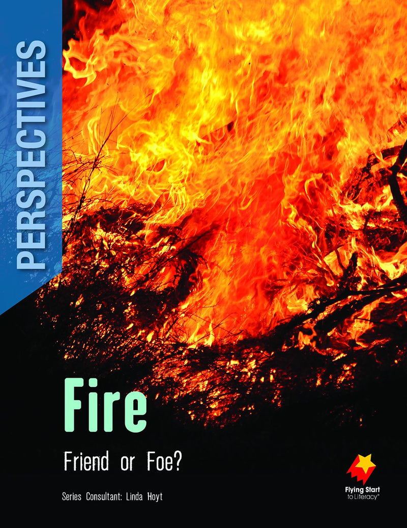 FS Level 29 Perspectives: Fire: Friend or Foe?