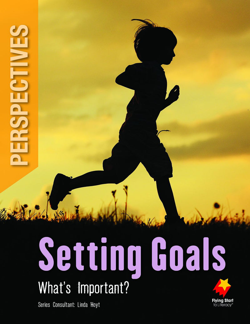 FS Level 30 Perspectives: Setting Goals: What's Important?