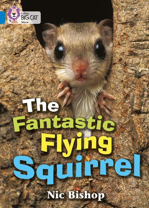 Collins Big Cat Blue Band 4: The Fantasy Flying Squirrel