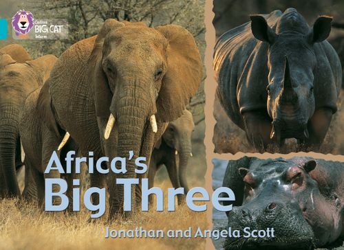 Collins Big Cat Turquoise(Band 7):Africa’s Big Three