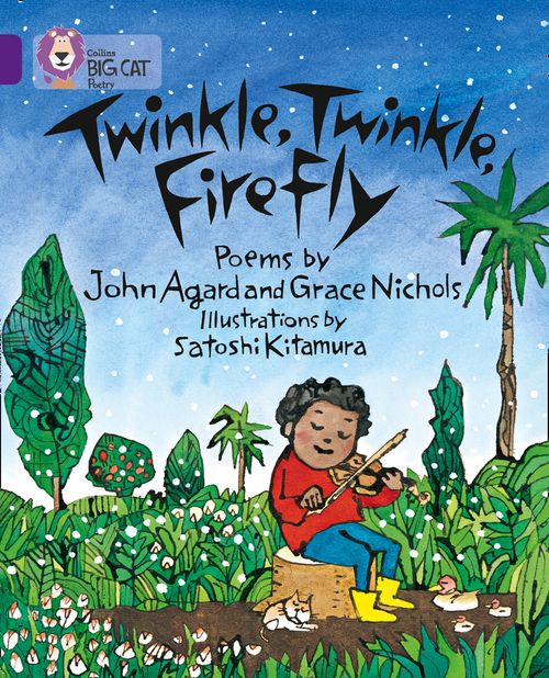 Collins Big Cat Purple(Band 8):Twinkle, Twinkle, Firefly