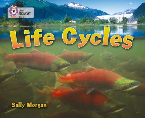 Collins Big Cat Sapphire(Band 16)Life Cycles