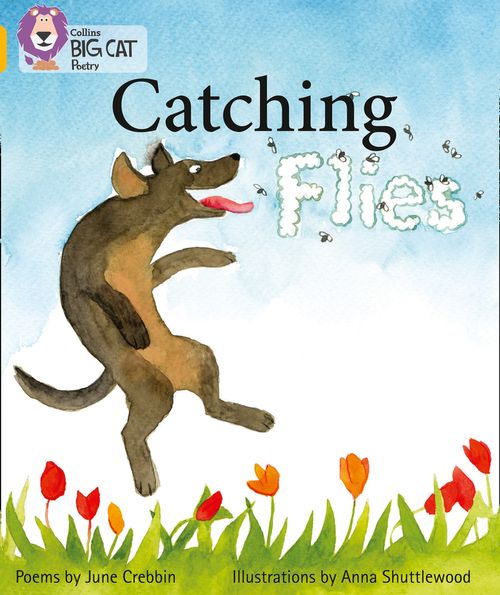 Collins Big Cat Gold(Band 9):Catching Flies