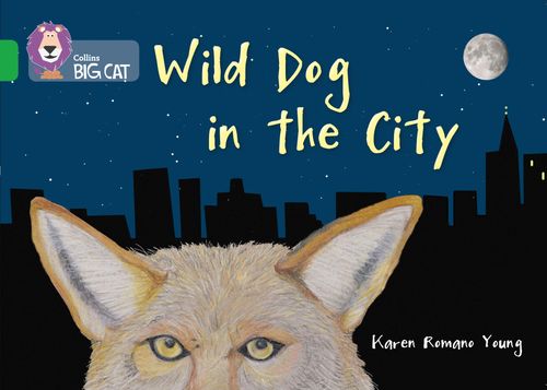 Collins Big Cat Green (Band 5):Wild Dog in the City