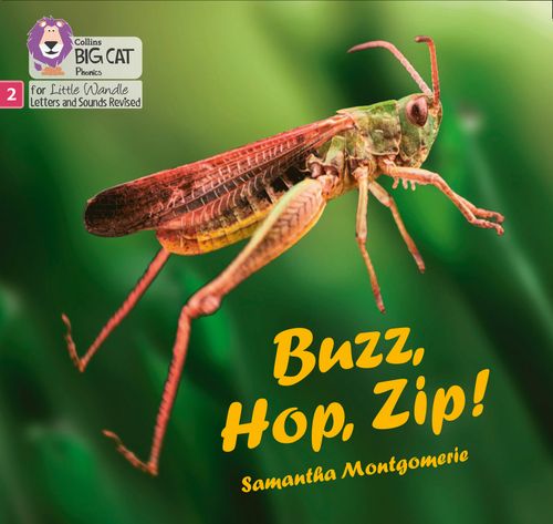 Little Wandle-Phase 2: Buzz Hop, Zip!
