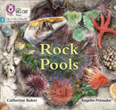 Little Wandle-Phase 3: Rock Pools