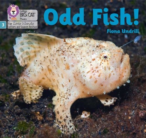 Little Wandle-Phase 3: Odd Fish!