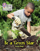 Little Wandle-Phase 4: Be a Green Star