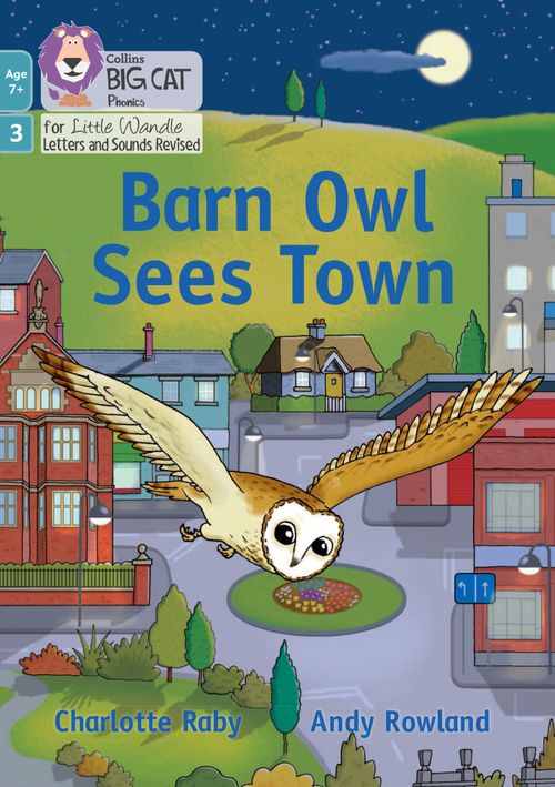 Little Wandle Rapid Catch-up Phase 3: Barn Owl Sees Town