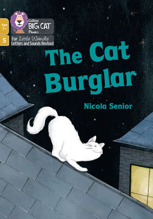 Little Wandle Rapid Catch-up Phase 5: The Cat Burglar