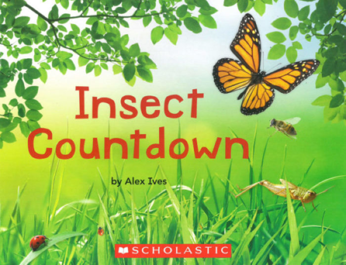 Insect Countdown(GR Level D)
