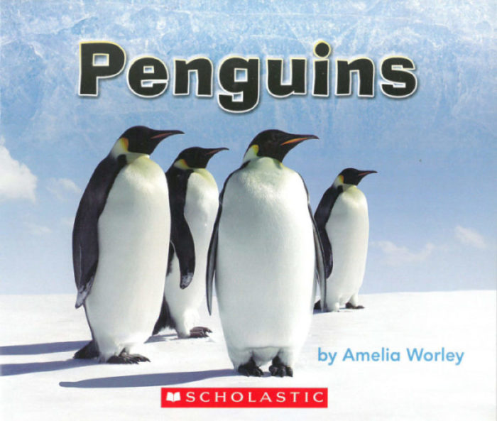 Penguins(GR Level D)