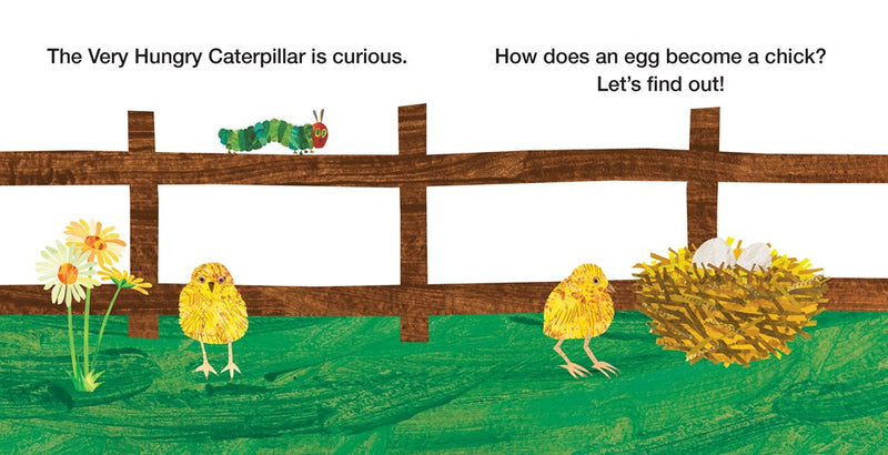 How Does an Egg Hatch? : Life Cycles with The Very Hungry Caterpillar(Board Book)