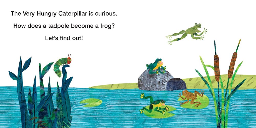 How Does a Tadpole Grow? : Life Cycles with The Very Hungry Caterpillar(Board Book)
