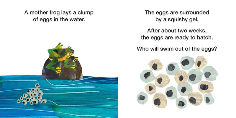 How Does a Tadpole Grow? : Life Cycles with The Very Hungry Caterpillar(Board Book)