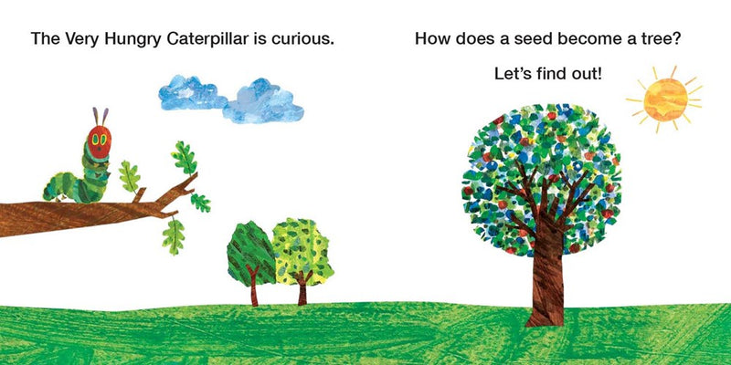 How Does a Seed Sprout? : Life Cycles with The Very Hungry Caterpillar(Board Book)