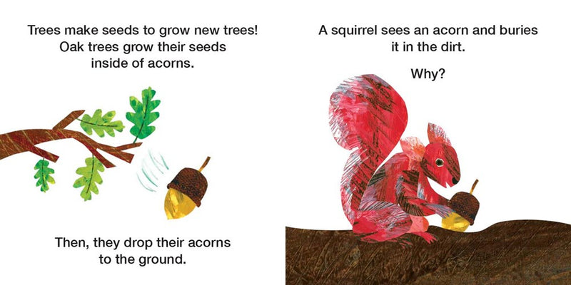 How Does a Seed Sprout? : Life Cycles with The Very Hungry Caterpillar(Board Book)