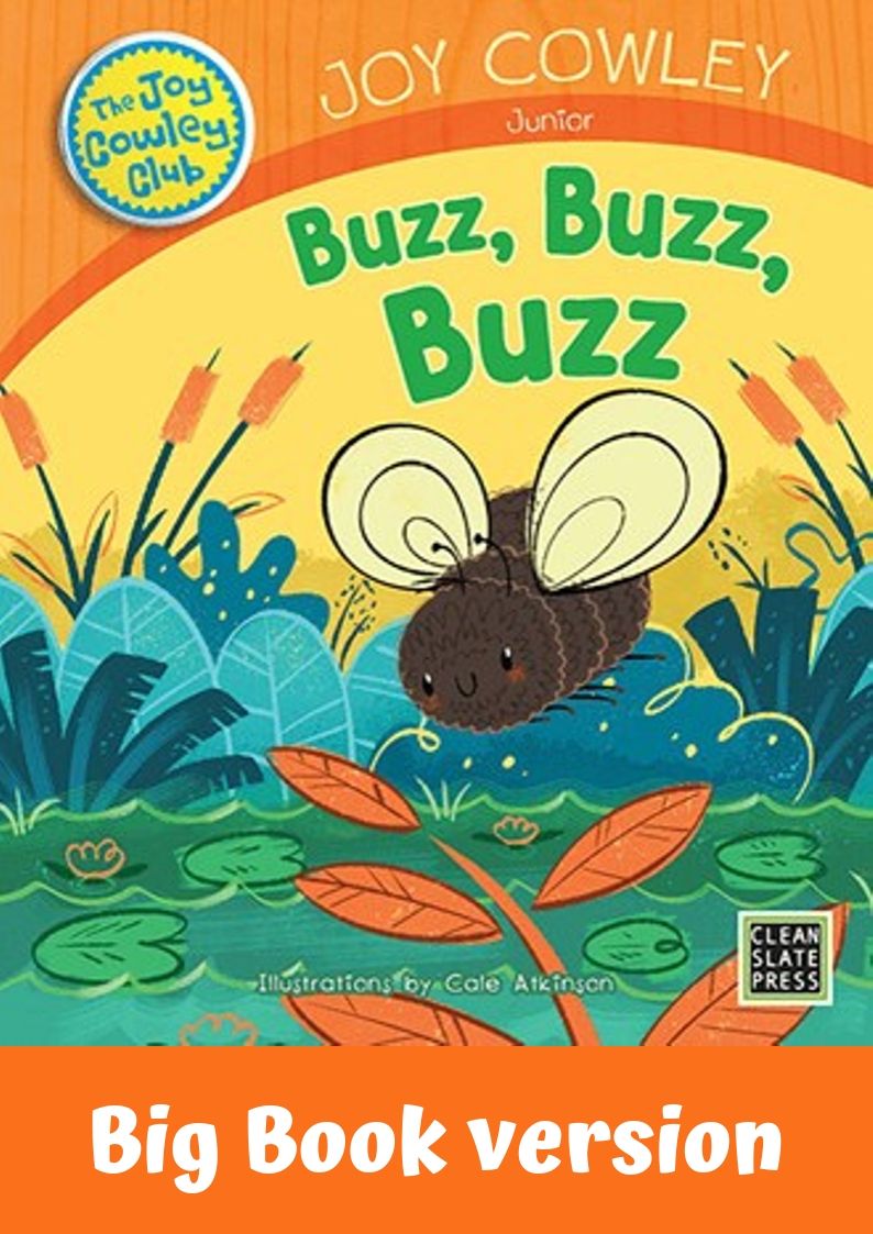 Junior: Buzz, Buzz, Buzz(L6) Big Book