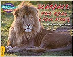 Cambridge RA Gold Band: Scarface: The Real Lion King (L21-22)
