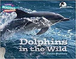 Cambridge RA Explorers Band: Dolphins in the Wild