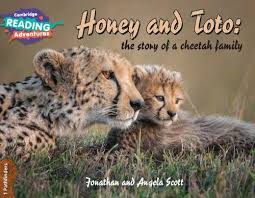 Cambridge RA Pathfinder Band: Honey and Toto: the story of a cheetah family