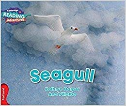 Cambridge RA Red: Seagull(L3-5)