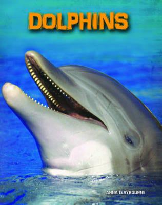 Dolphins - Living in the Wild: Sea Mammals