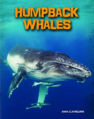 Humpback Whales - Living in the Wild: Sea Mammals