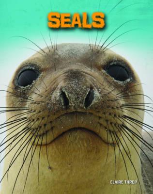 Seals - Living in the Wild: Sea Mammals