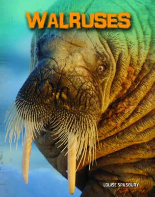 Walruses - Living in the Wild: Sea Mammals
