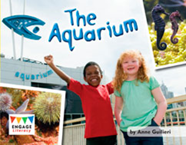 Engage Literacy L8: The Aquarium