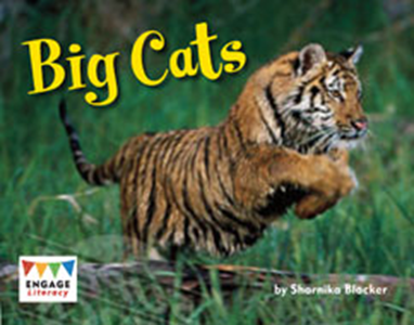 Engage Literacy L14: Big Cats