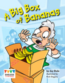 Engage Literacy L10: A Big Box of Bananas