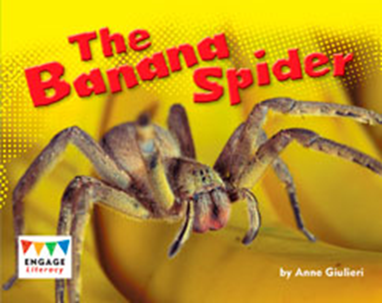 Engage Literacy L10: The Banana Spider