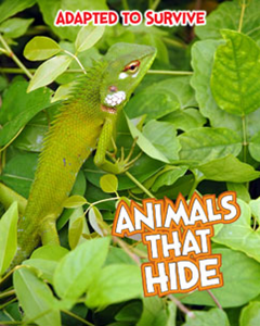 Adapted to Survive: Animals that Hide (Paperback)