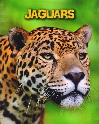 Jaguars - Living in the Wild: Big Cats